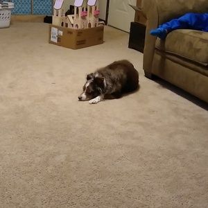 Meet your Posher, Meagan